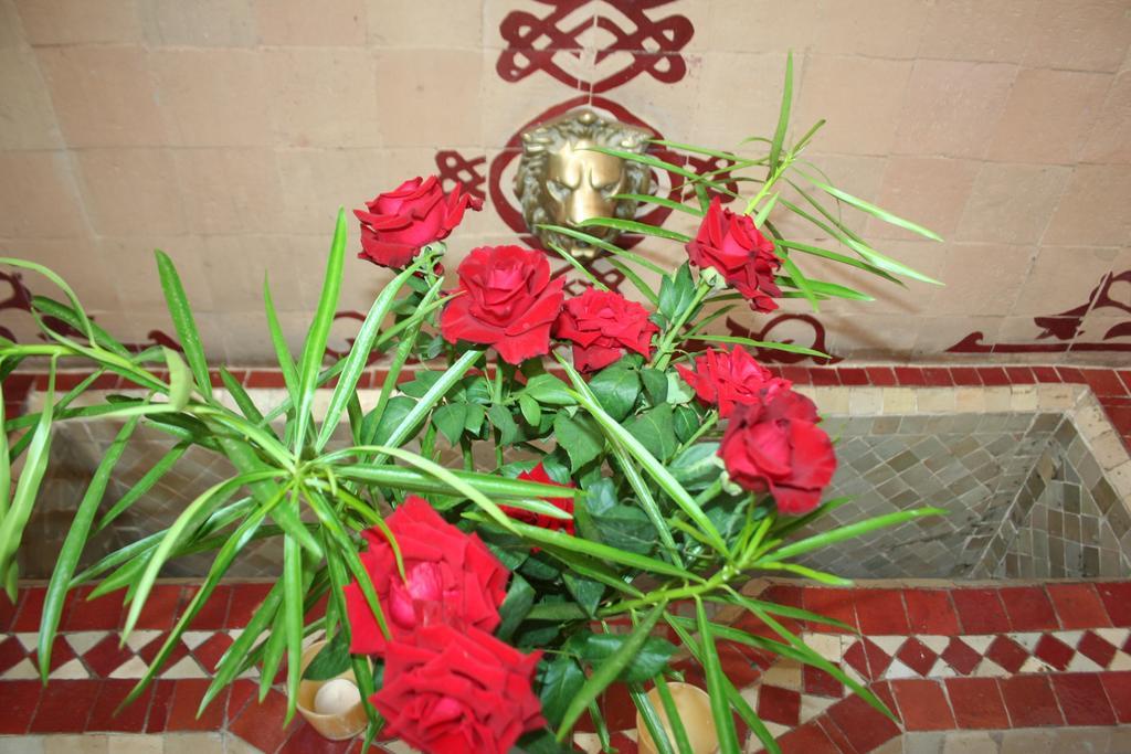 Riad Alghani مراكش المظهر الخارجي الصورة